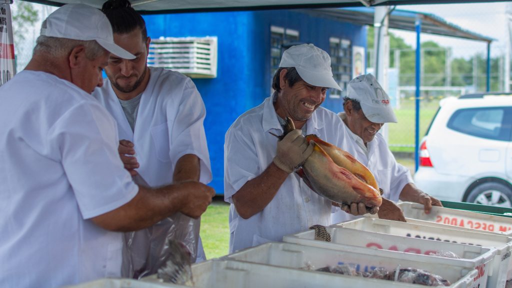 PEIXE FEIRA CULTIVO PARANAGUA