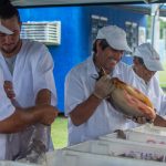 PEIXE FEIRA CULTIVO PARANAGUA