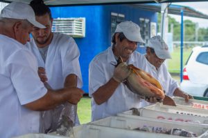 PEIXE FEIRA CULTIVO PARANAGUA