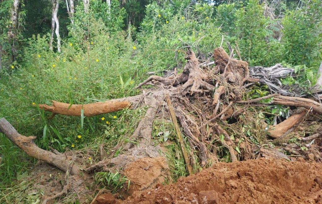 Ação da Polícia Ambiental em Guaratuba 04