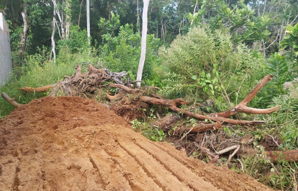Ação da Polícia Ambiental em Guaratuba 05