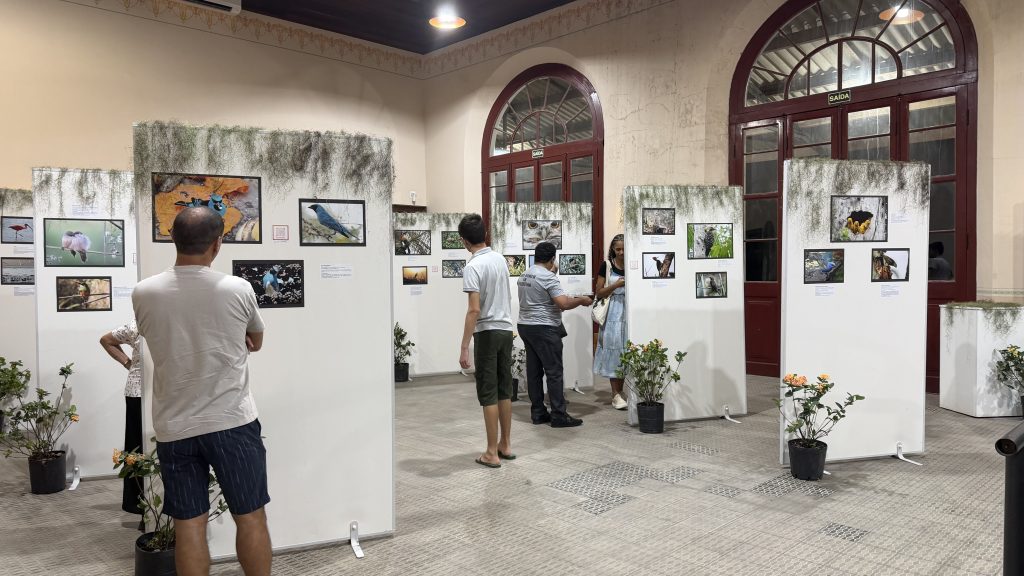 EXPOSICAO AVES ESTACAO PARANAGUA – FOTO PREFEITURA DE PARANAGUA (1)
