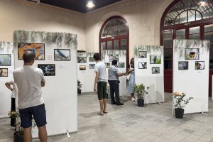 EXPOSICAO AVES ESTACAO PARANAGUA – FOTO PREFEITURA DE PARANAGUA (1)