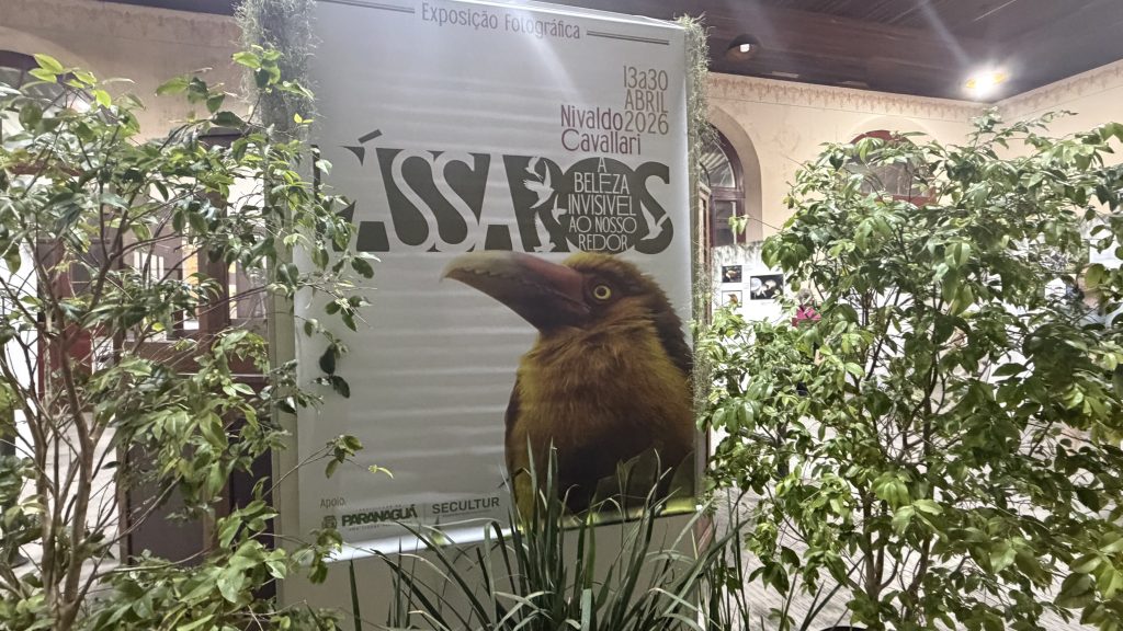 EXPOSICAO AVES ESTACAO PARANAGUA – FOTO PREFEITURA DE PARANAGUA (2)