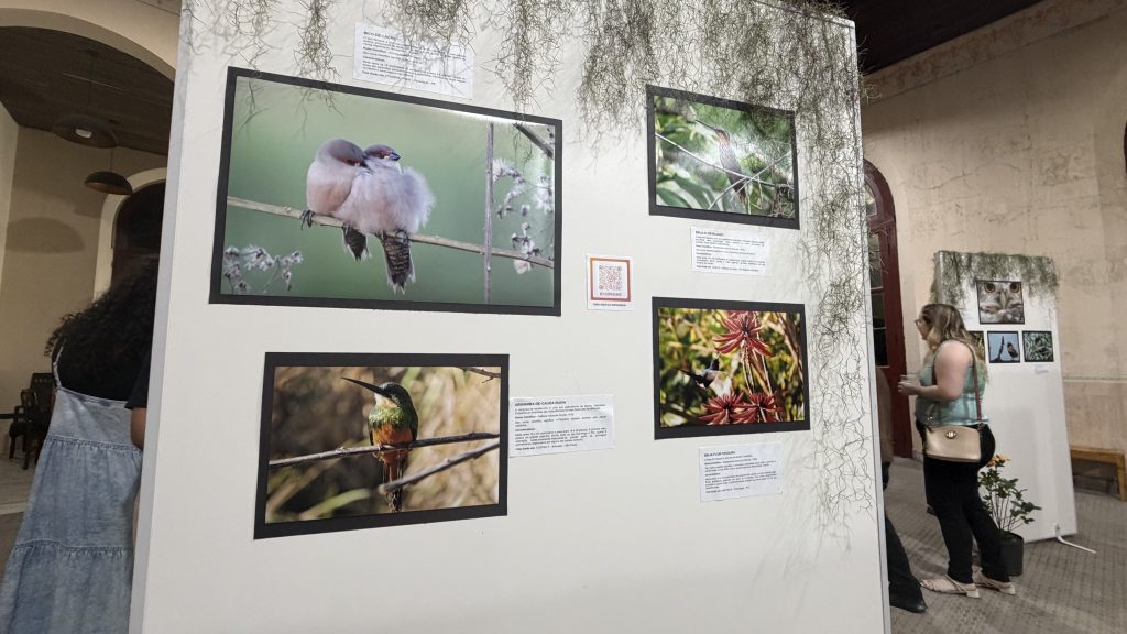 EXPOSICAO AVES ESTACAO PARANAGUA – FOTO PREFEITURA DE PARANAGUA (4)