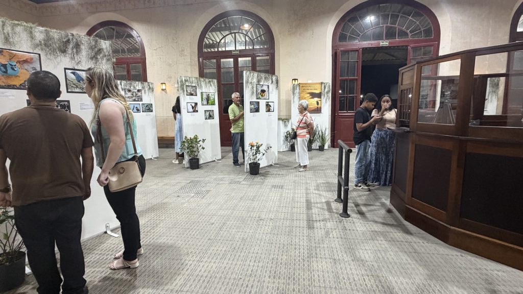 EXPOSICAO AVES ESTACAO PARANAGUA – FOTO PREFEITURA DE PARANAGUA (5)