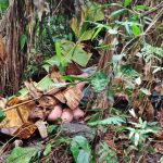 Idoso resgatado pela PM em Antonina