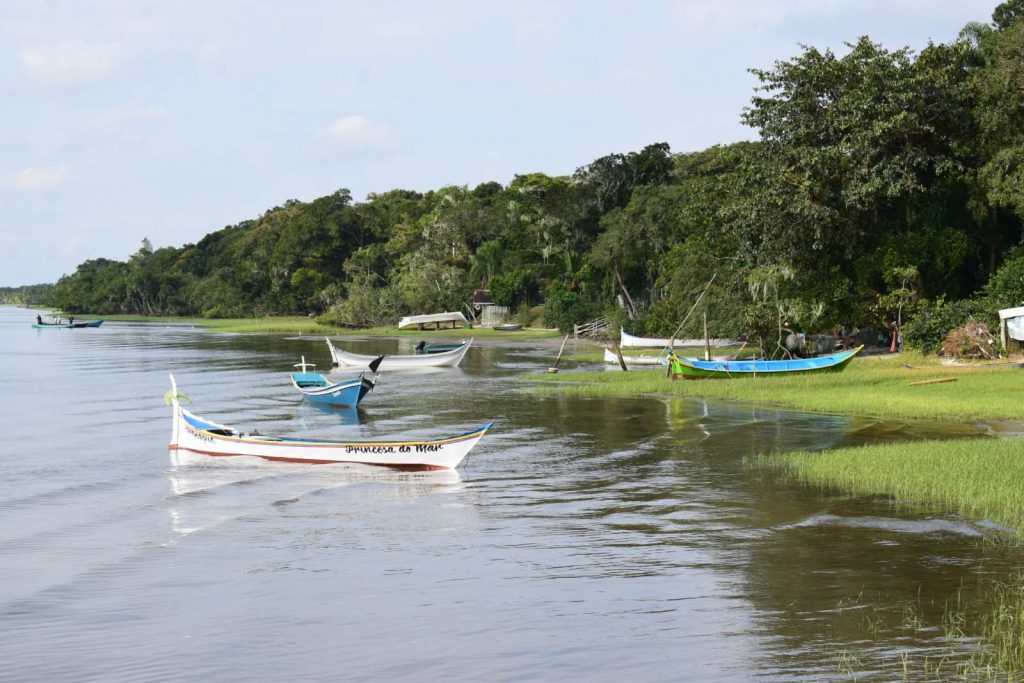 Ilha do Maciel – Foto – IDR