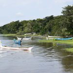 Ilha do Maciel – Foto – IDR