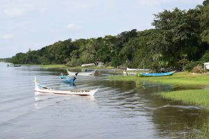 Ilha do Maciel – Foto – IDR