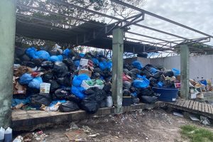 LIXO ILHA DO MEL – NOVA BRASILIA (5)