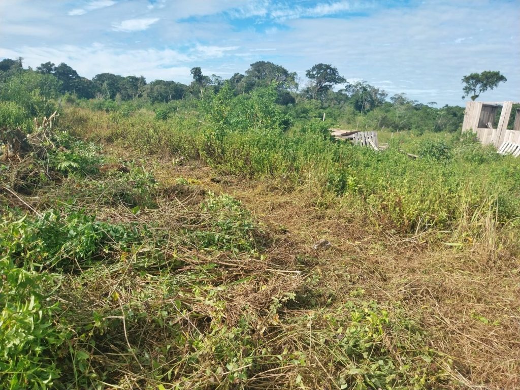 Polícia Ambiental 02