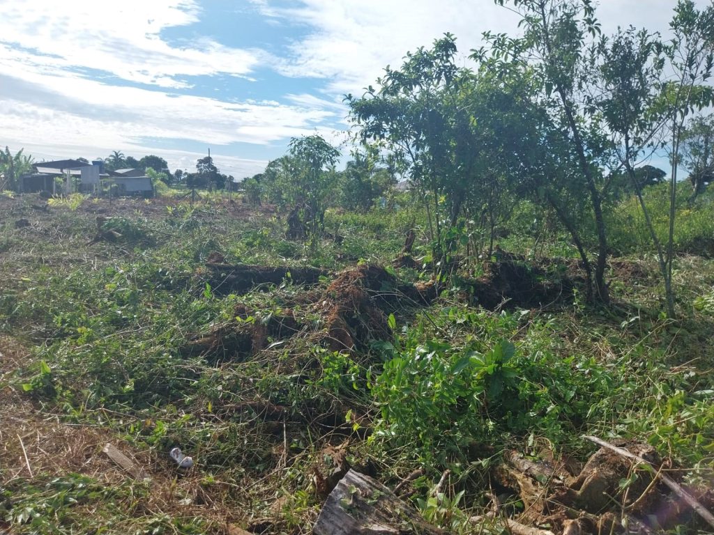 Polícia Ambiental 03