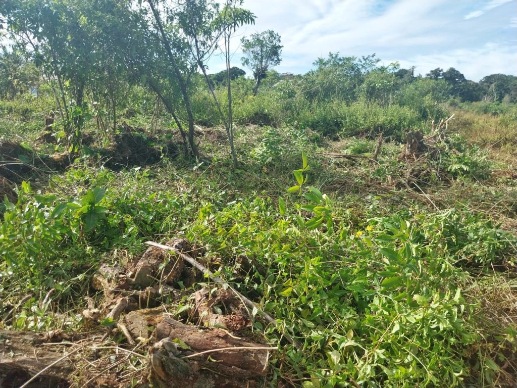 Polícia Ambiental 04
