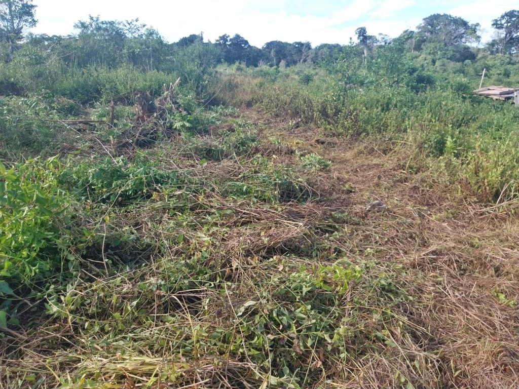 Polícia Ambiental 05