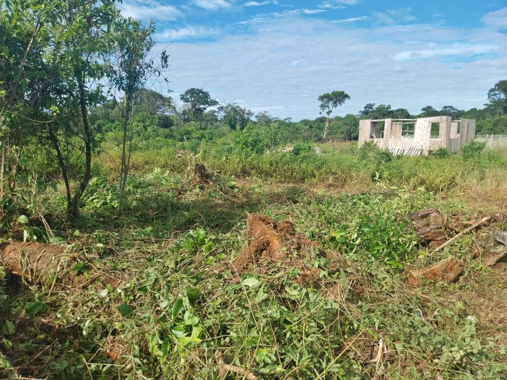 Polícia Ambiental 06