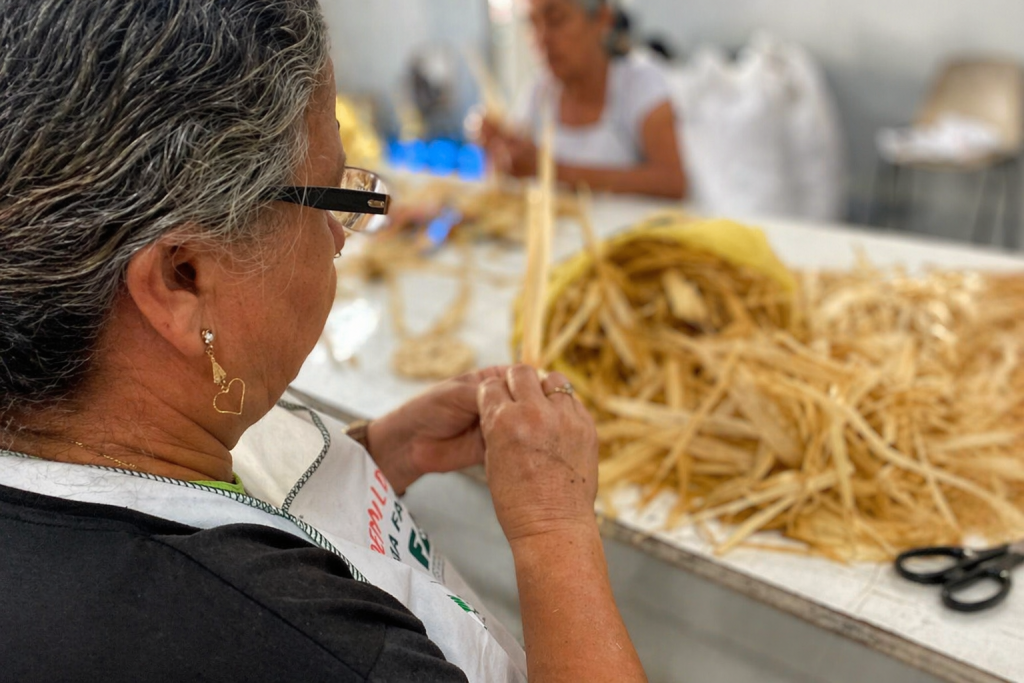 Mulheres transformam palha de milho em arte e renda na área rural de Cachoeira, em Antonina