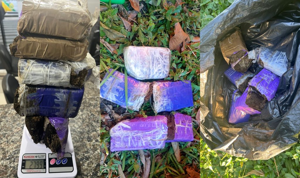 Apreensão de Drogas Polícia Ambiental – Morretes