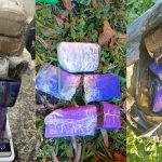 Apreensão de Drogas Polícia Ambiental – Morretes