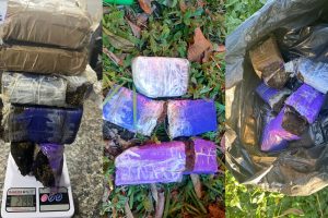 Apreensão de Drogas Polícia Ambiental – Morretes