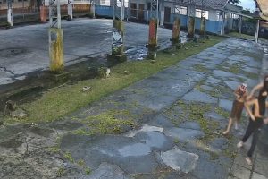 Menores apreendidos por vandallismo em escola 3
