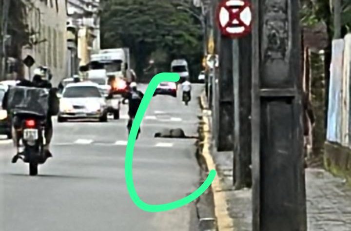 Mulher vítima de agressão em Morretes