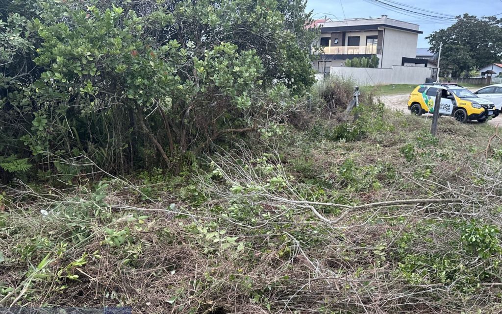 Polícia Ambiental – corte de restinga 2