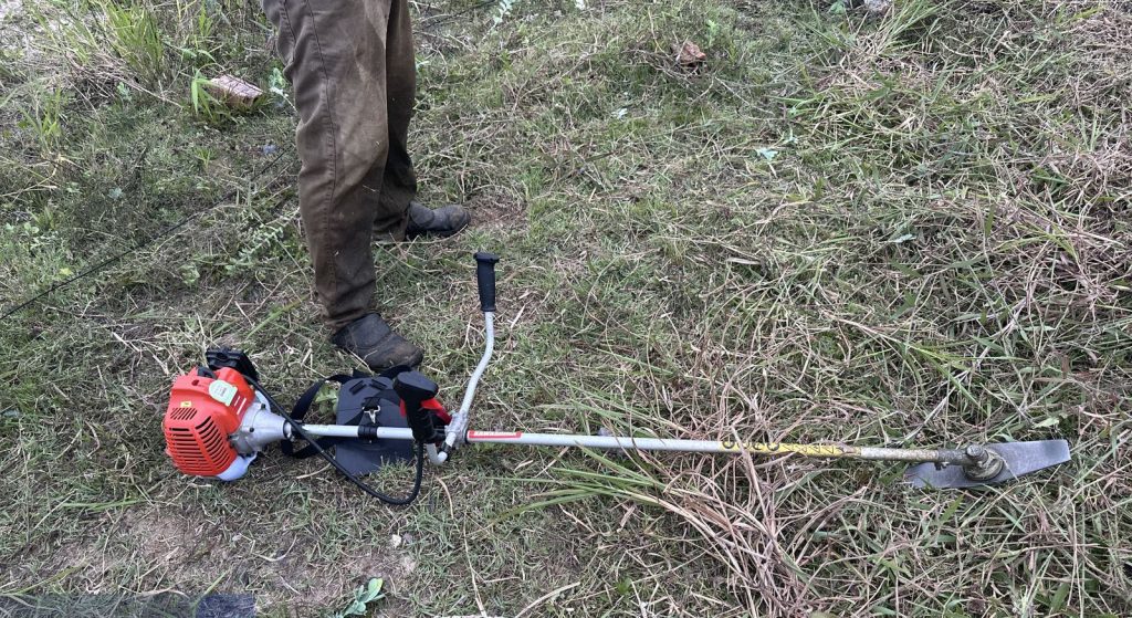 Polícia Ambiental – corte de restinga 3