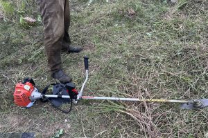 Polícia Ambiental – corte de restinga 3