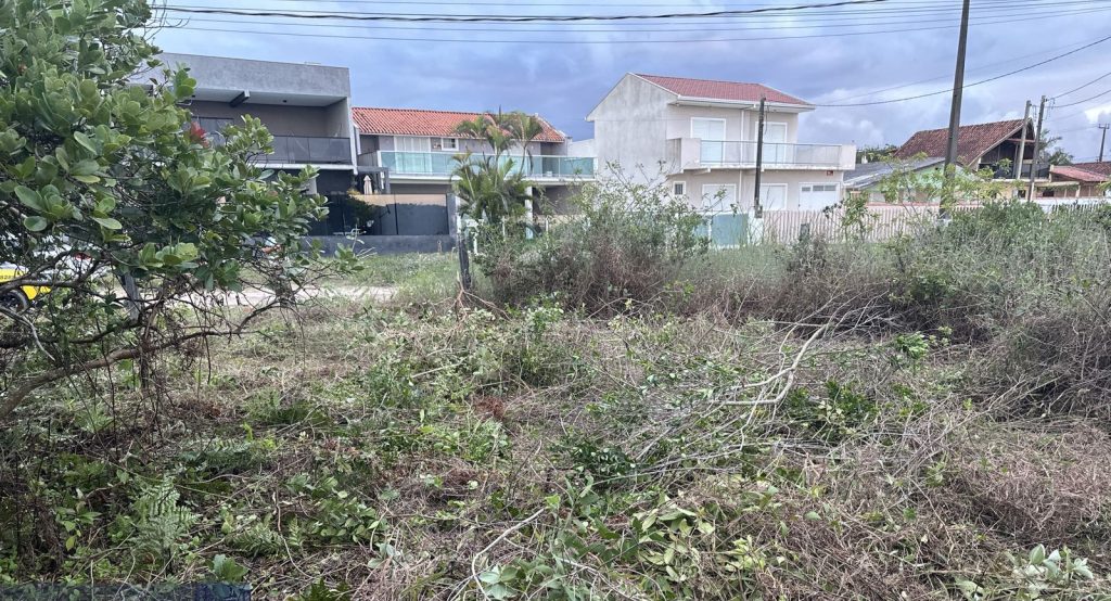 Polícia Ambiental – corte de restinga 4