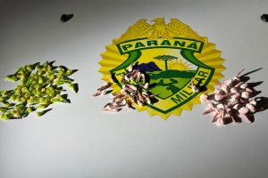 Tráafico de drogas em Matinhos