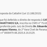 cattalini_img_home_resp