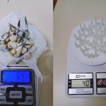 Apreensão de Drogas pela GCM em Paranaguá
