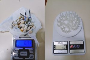 Apreensão de Drogas pela GCM em Paranaguá