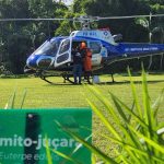 sementes palmito juçara morretes credito COA-IAT