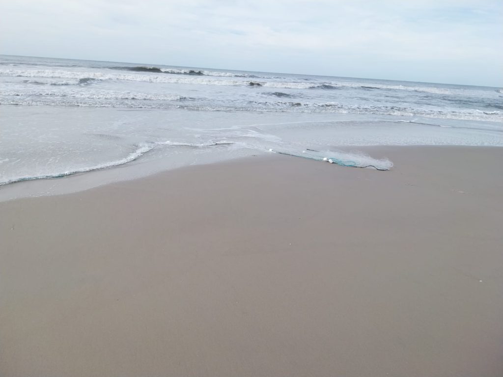 IMG-20260620-WA0049