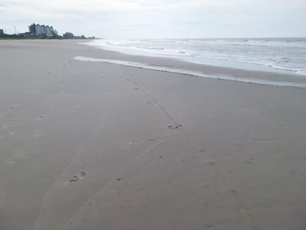 IMG-20260620-WA0050