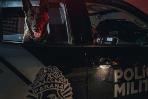Operação Com Cães da PM