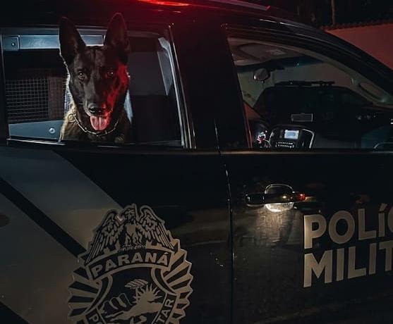 Operação Com Cães da PM