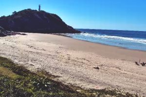 Praia de Nova Brasília 1