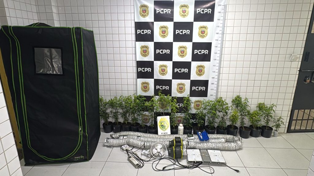 Tráfico de drogas em Matinhos Estufa