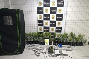 Tráfico de drogas em Matinhos Estufa