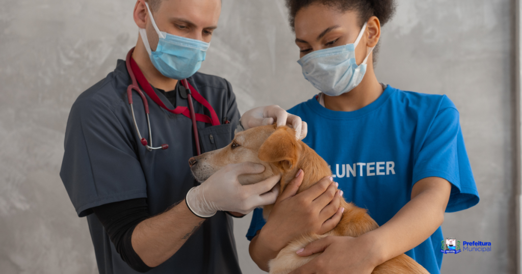 atendimento veterinario foto pref de guaratuba