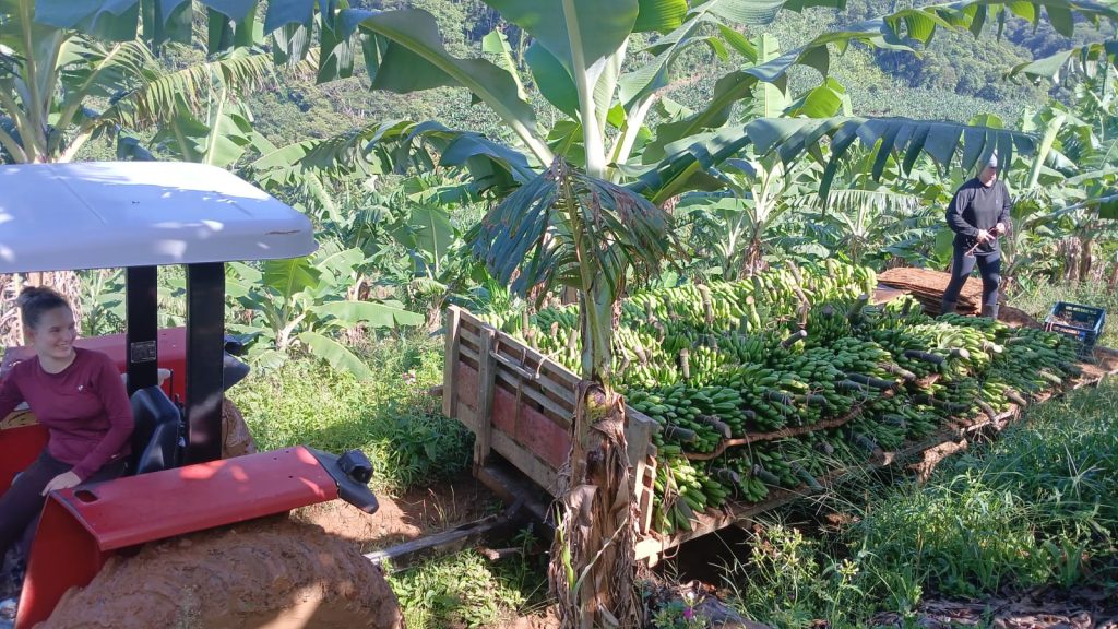 AGRICULTOR GUARATUBA – FOTO ARQUIVO PESSOAL (3)