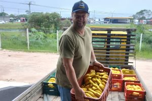 AGRICULTOR GUARATUBA – FOTO ARQUIVO PESSOAL