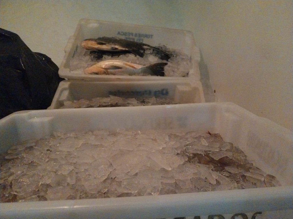 Apreensão de peixes e camarão em Guaratuba (2)