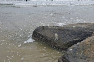Apreensão de rede de pesca pela Polícia Ambiental 5