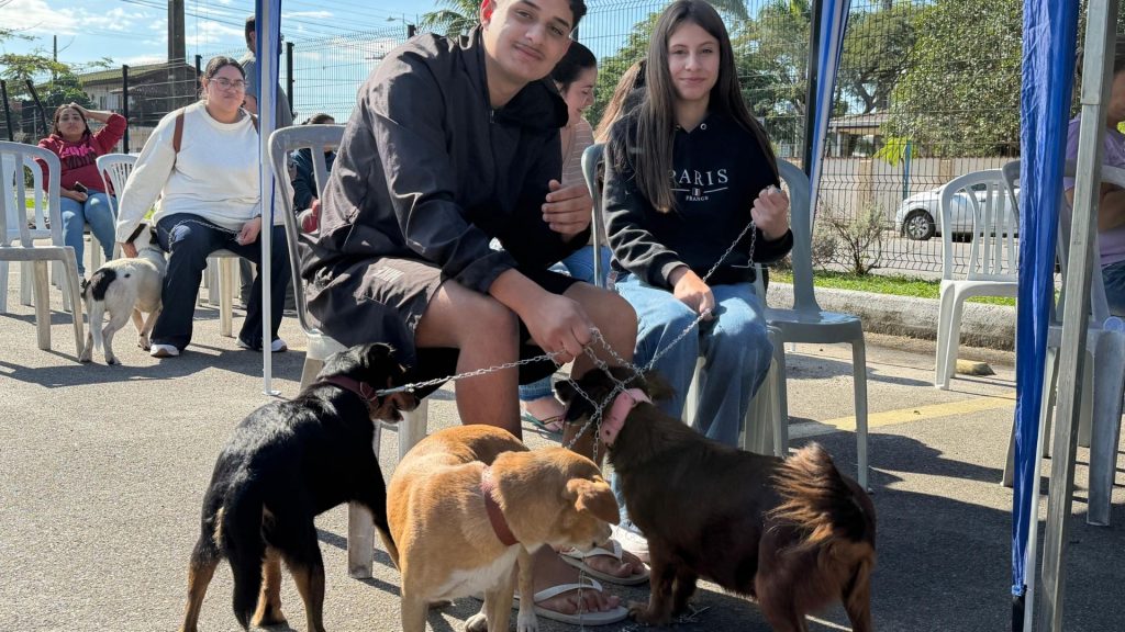 cachorro castração