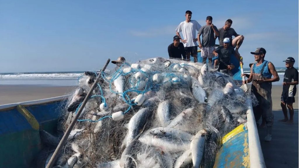FESTA DOS PESCADORES CAPA
