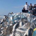 FESTA DOS PESCADORES CAPA